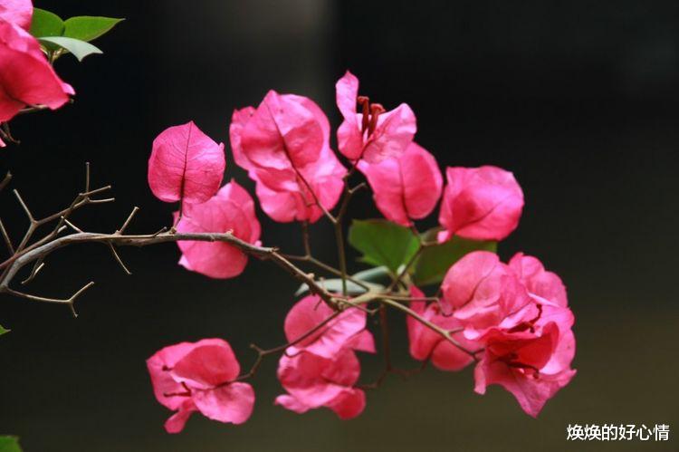 旧爱|九月上旬,走出情伤,遇见真爱的4大星座,放下了“旧爱”!