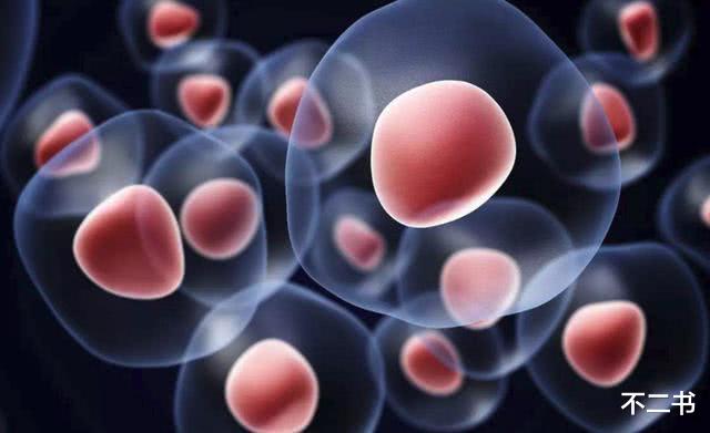 「秦始皇」日本的科学家有多厉害?找到秦始皇梦寐以求的药,直接荣获诺奖