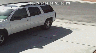 被三只恶狼死死围住，猫咪勇敢将对方击退，保护主人安全