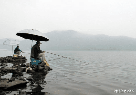 「」夜钓碰上大鱼将鱼竿拉走如何处理？