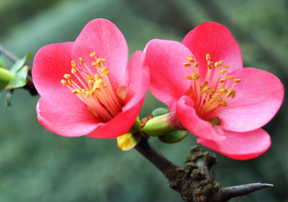 |进入8月份,4属相抓牢机遇,生活迈向新台阶,喜事接二连三