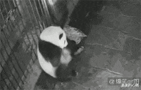 |谁说女人之间就会争风吃醋,这才是好闺蜜,完全不抢镜