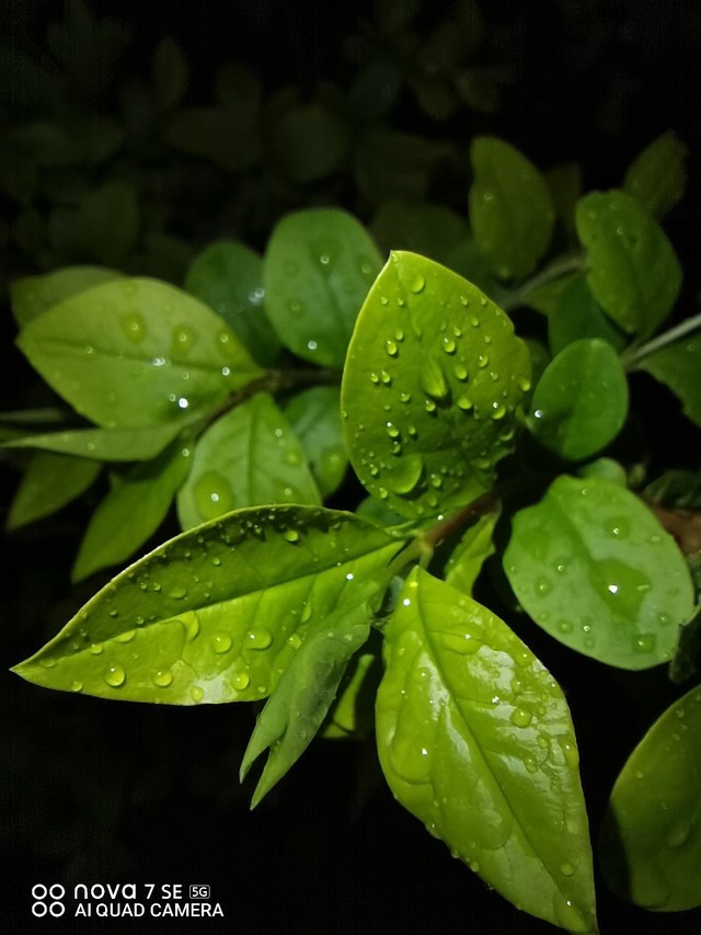 华为Nova|怎么选手机? 华为nova7 SE如何获得高中毕业生的青睐?