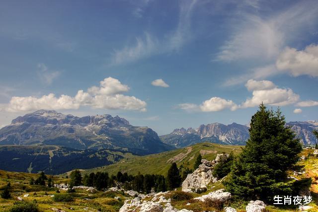 生肖▲6月上旬，财运旺，日进斗金的生肖，正财收获喜人，偏财送来惊喜