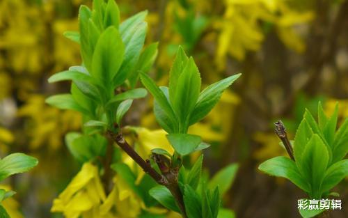 运势|爱你再久，也会敢转身离你而去，不留一点痕迹的三个星座