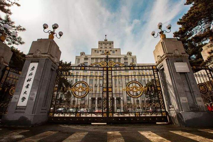 大学|东北最容易被忽视的211,实力不俗,还素有“小985”的外号