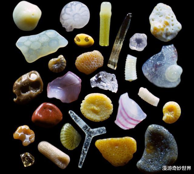 |活久见的25张图,看完眼界打开!