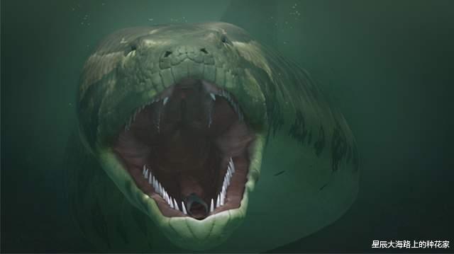 婆罗洲|世界上最大的蛇到底有多长？会超过30米吗？答案超越认知！