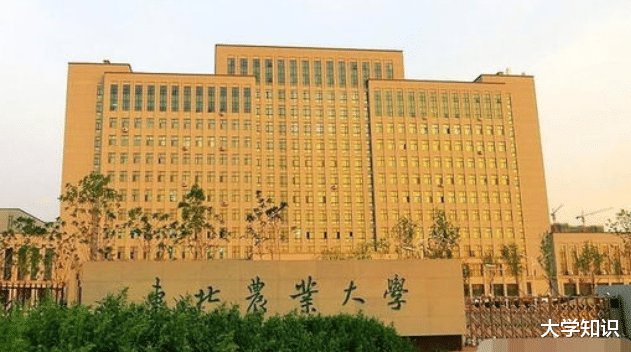 |都是农业类大学，第5所录取线仅400多分，更重要还是211院校！