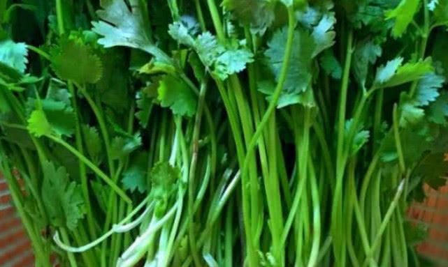 #癌细胞#得了癌症很害怕？零花钱再少也要常吃“4物”，癌细胞或不敢来扰