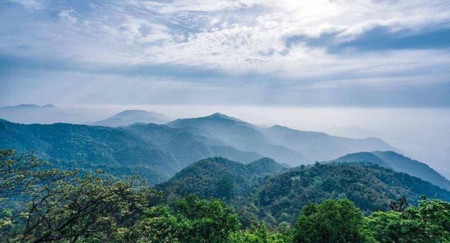『莫干山』被称为民宿界的“巴黎岛”，竹林幽幽，享有“江南第一山”的美誉