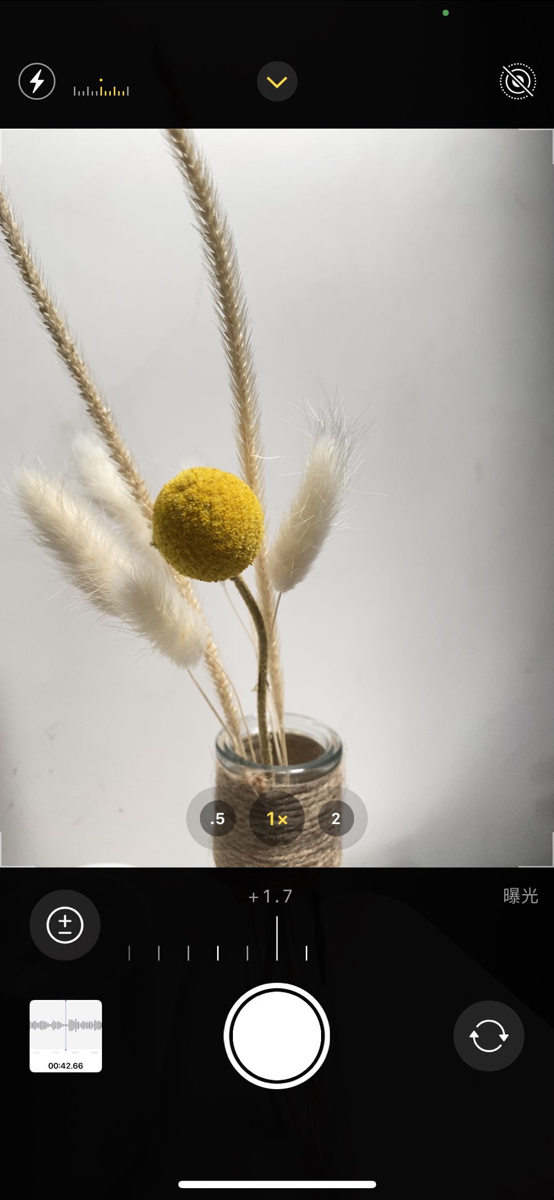 iOS14|iOS14正式版推送:10个马上可以用的实用新功能推荐