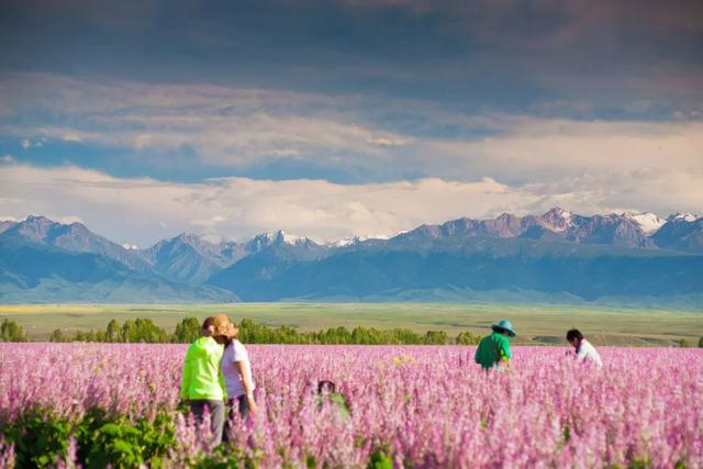 『涠洲岛』越到夏天，越是不能去的9个国内旅行地！