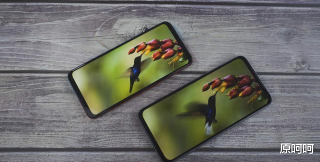 努比亚@围观！黑鲨3 Pro与努比亚红魔 5G：游戏旗舰机大比拼，您看好谁？