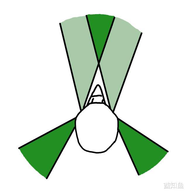 人的视力在动物界什么水平?算是顶尖高手吗?