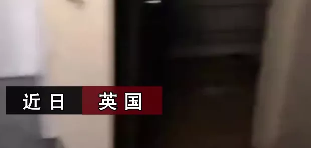 租客退房屋主收房时内心崩溃，除了动物粪便还有尸体