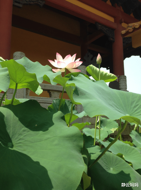 「长沙」长沙13个免费旅游景点，个个精心挑选，五一陪孩子好好玩尽兴