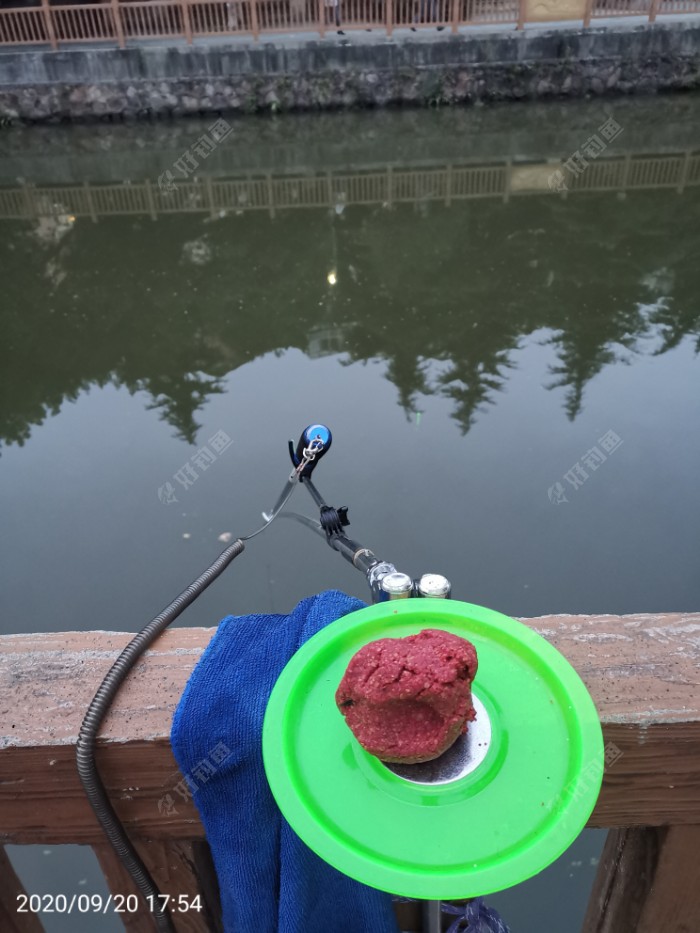 鲫鱼|夜钓鱼口很刁猾 耐心变换小爆护