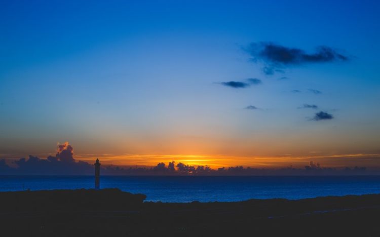 属狗|九月初鸿运天降，遇见真爱，事业稳稳进步的4大星座