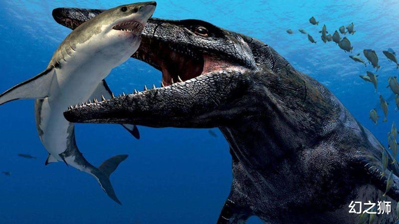 海神号|一口吞掉3米大白鲨，海底或藏着史前巨兽？