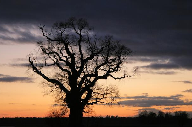 「」这3个信号，说明领导已经不重视你了！你需要2个层次的变化