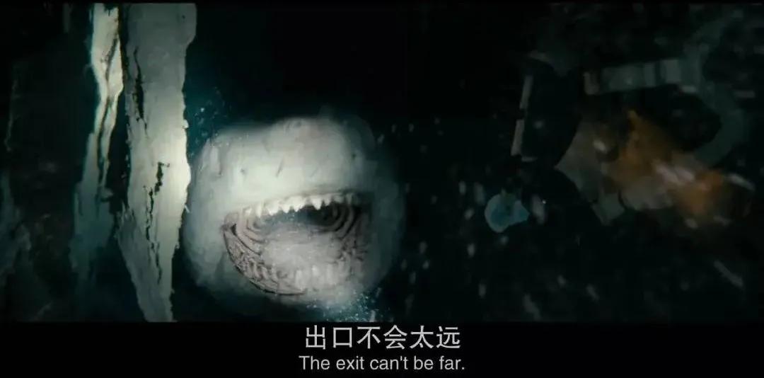 电影：史泰龙女儿误闯深海禁区，惨遭大白鲨袭击