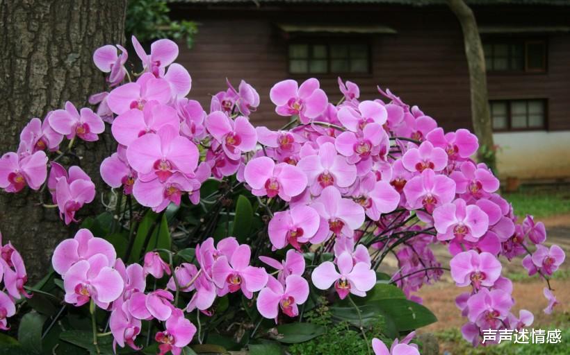 「生肖」7月份到来,春心萌动,红鸾心动,牵手真爱的4大生肖