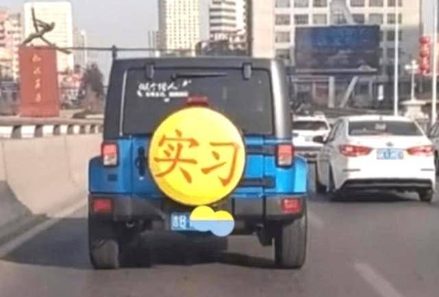 大众朗逸@东北“最牛”牧马人，看到车后实习标志后，交警：停下聊聊