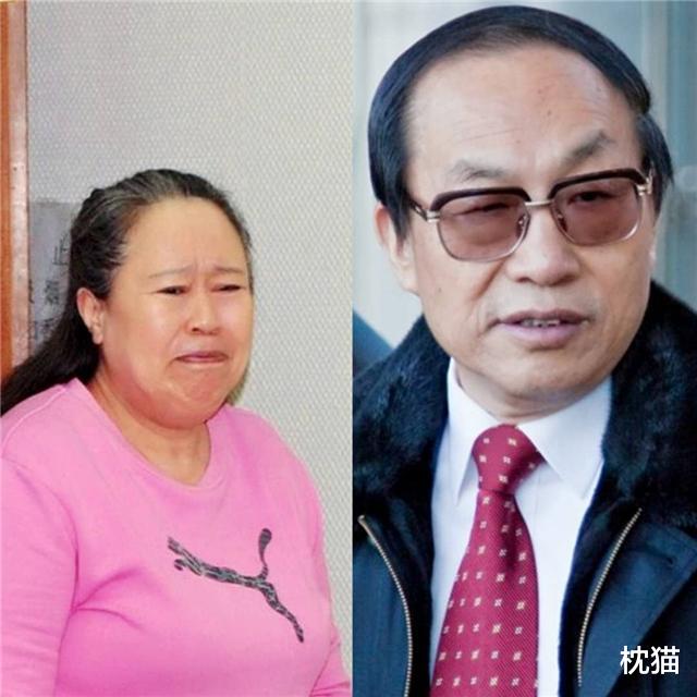 枕猫|从卖鸡蛋农妇到女富翁——“高铁一姐”丁书苗的浮沉录