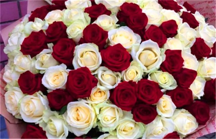 生肖|家里有着三生肖的孩子，天生是福星，招财进宝，父母安享晚年