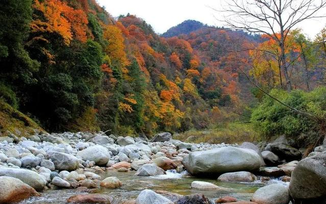阴平古道|秋天的的唐家河可以美到什么地步？