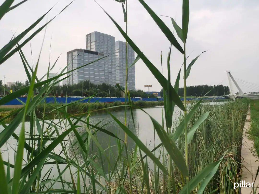 案件通报|【柱子七彩早餐】理解别人方能被别人所理解