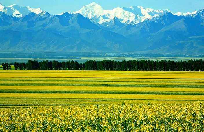 「自驾」七八月自驾避暑不可错过的12个好去处, 总有几个适合你！