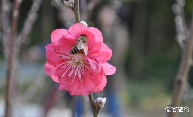 『运势』6月19号运势上上签的生肖,有贵人助力,生活策马奔腾