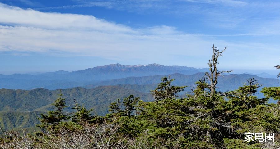 家电企业|市场不会马上变好!家电企业只能加油拼命干