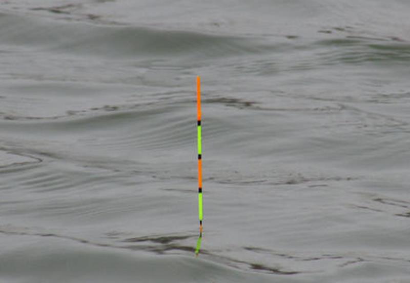 @调好的目数,没钓一会就变了!什么原因,看完这些就懂了