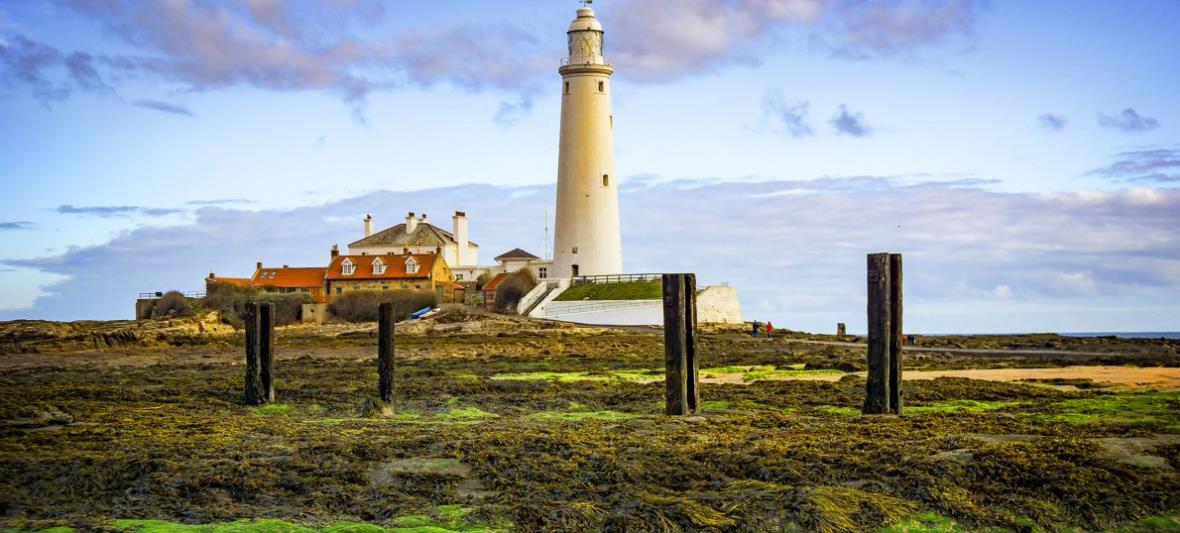双子座|11月,鸳鸯合奏,琴瑟和鸣,相思难忍,再度复合,勇敢追逐旧爱