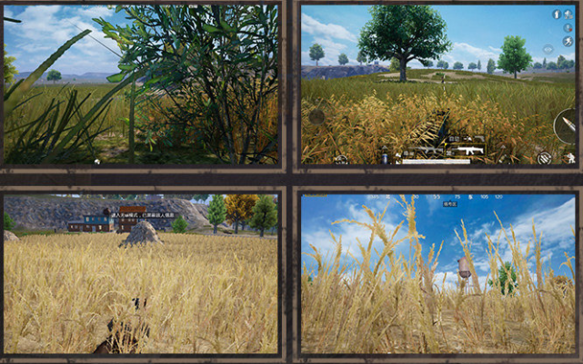 「海岛」“吃鸡”海岛2.0怎么设置能发现伏地魔？继续最低画质要被笑掉大牙