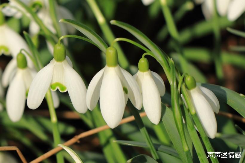 「巨蟹座」7月底，情缘深厚，邂逅良人，牵手爱情，余生共渡到白头的4生肖
