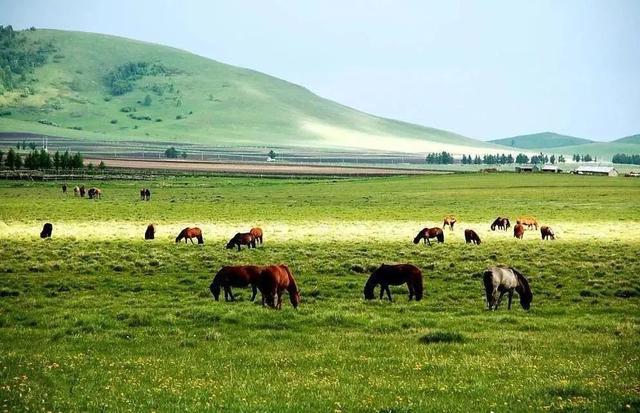 荡口古镇|9个最适合八月去的旅行地,随手一拍都是大片