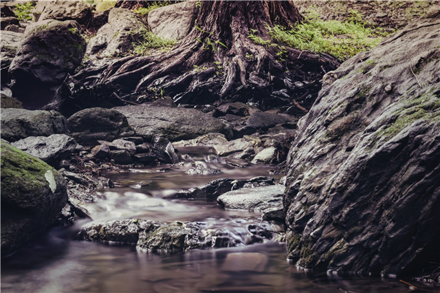 短视频|短视频时代：穷人在看戏，富人在演戏