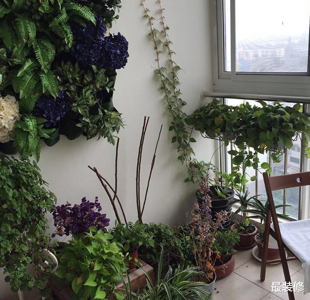 |“央视男孩”尼格买提的家，地面铺满名贵地毯，把日子经营成了诗