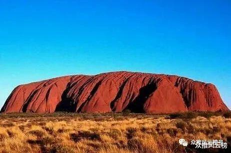 鹦鹉|34个全球至今无法解释之谜