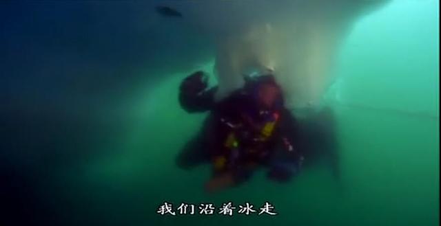 『科学家』哪有什么深海恐惧！8.9分纪录片告诉你来自海底的求生欲