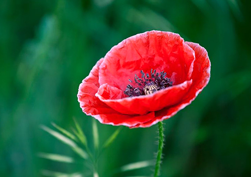 『』2020下半年,运旺财旺,存款上涨的三个星座