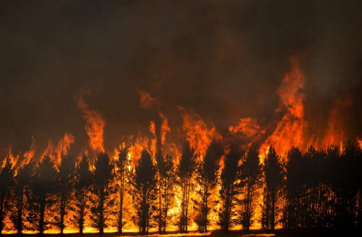 『科学家』2020年的地球还将经历哪些麻烦事?科学家忧心忡忡表示:接踵不断