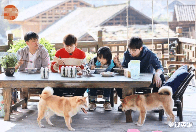 「官宣」《向往4》海报官宣！后期导演一不小心透露有点多，阵容令人期待