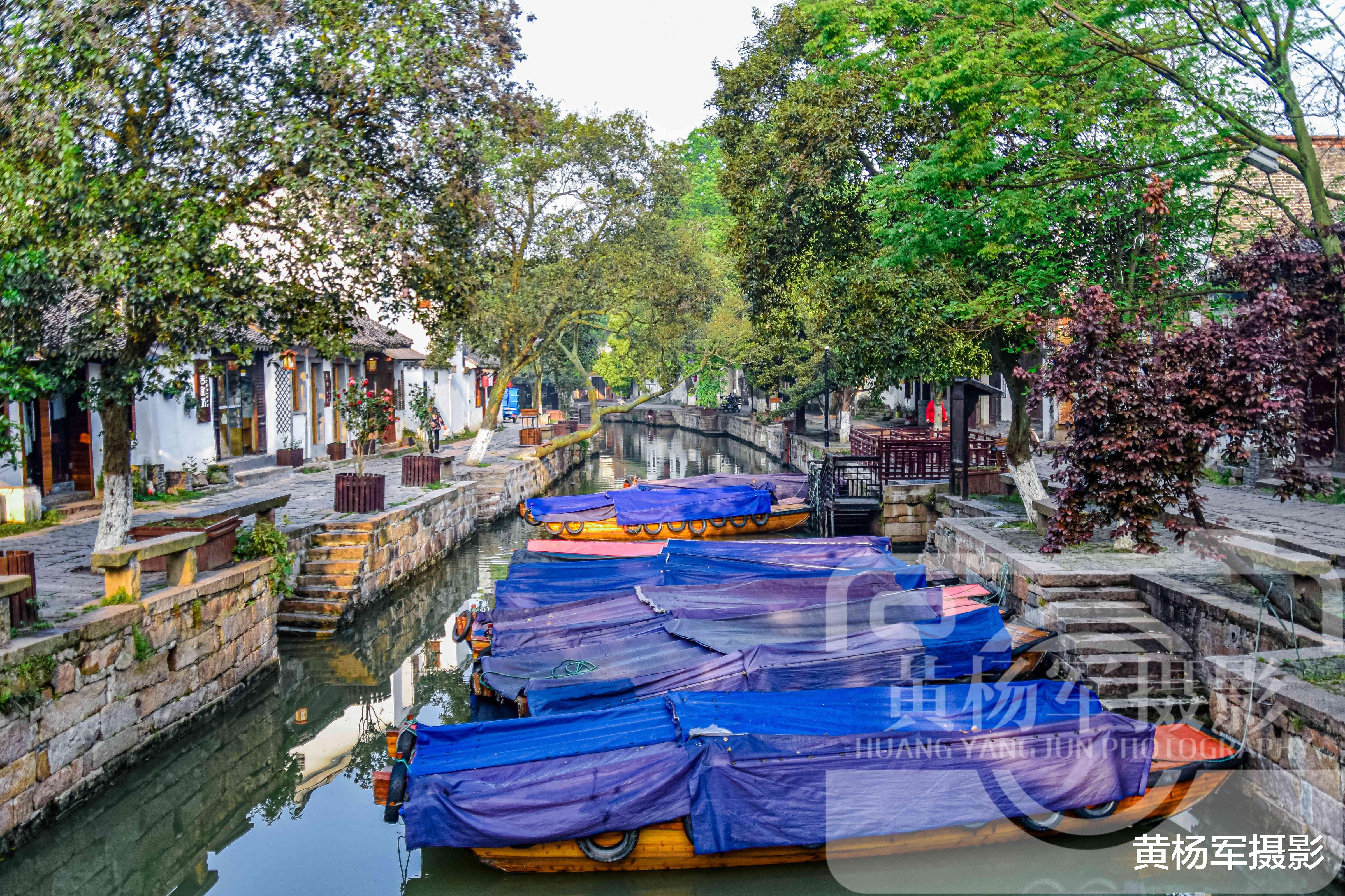古镇|苏州一古镇距上海虹桥机场80公里，风光不输周庄，你知道是哪吗？