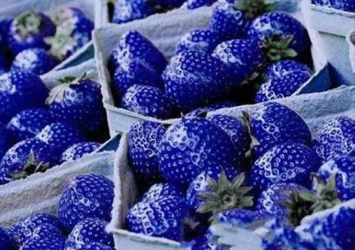 「水果」全球“最妖艳”的4种水果，这得花多少钱才能吃到？我就见过1种