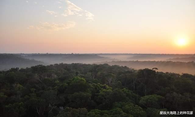 全球变暖|亚马逊雨林到底有多恐怖？全球变暖后，它反而会长得更好！